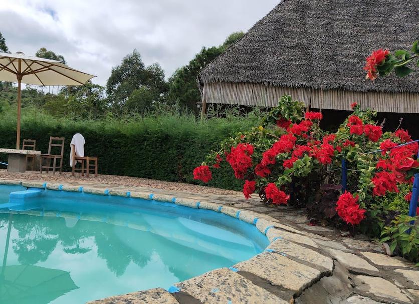 Piscina Foto