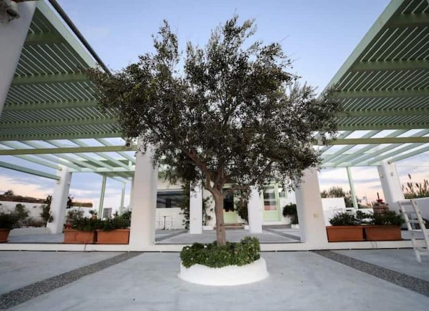 Vista del exterior Foto