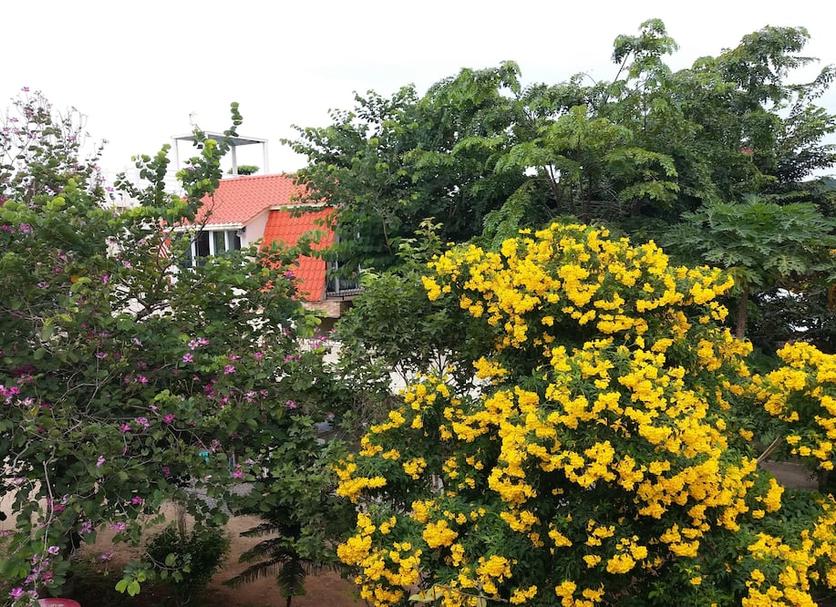 Vista del exterior Foto