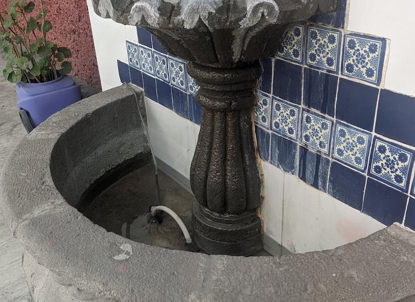Otros Foto