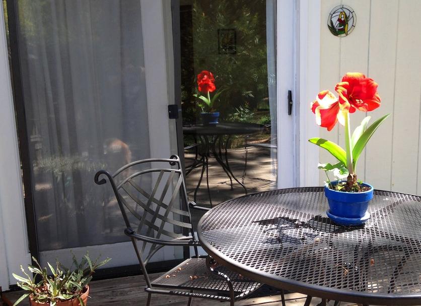 Patio Foto