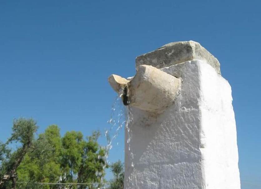Otros Foto