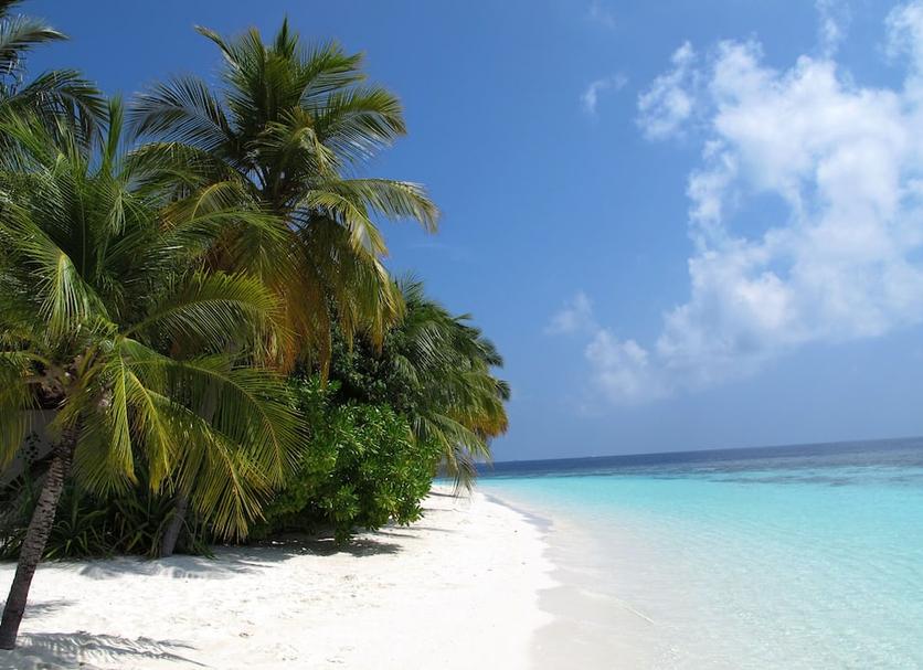 Playa Foto