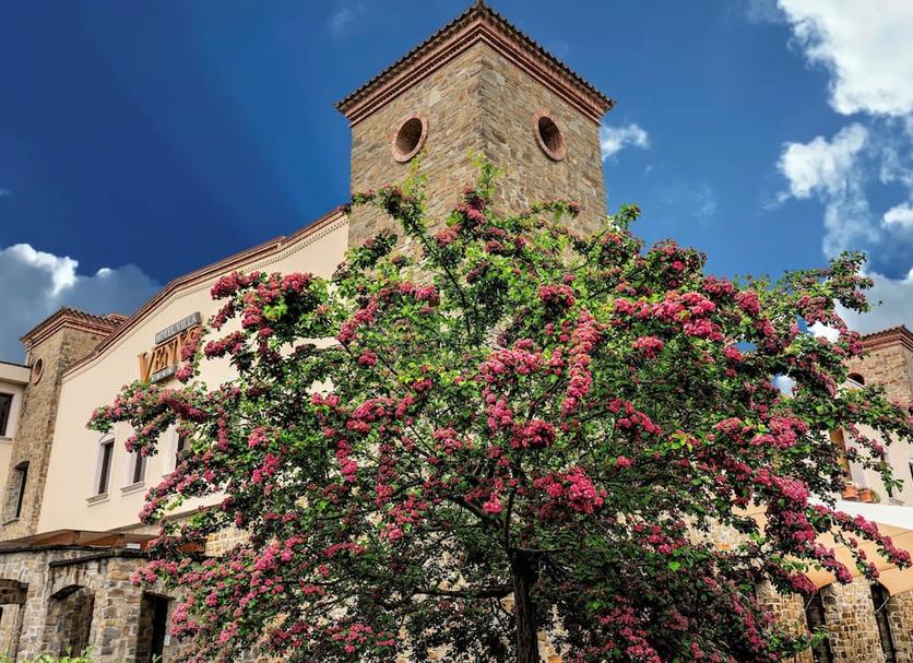 Vista del exterior Foto