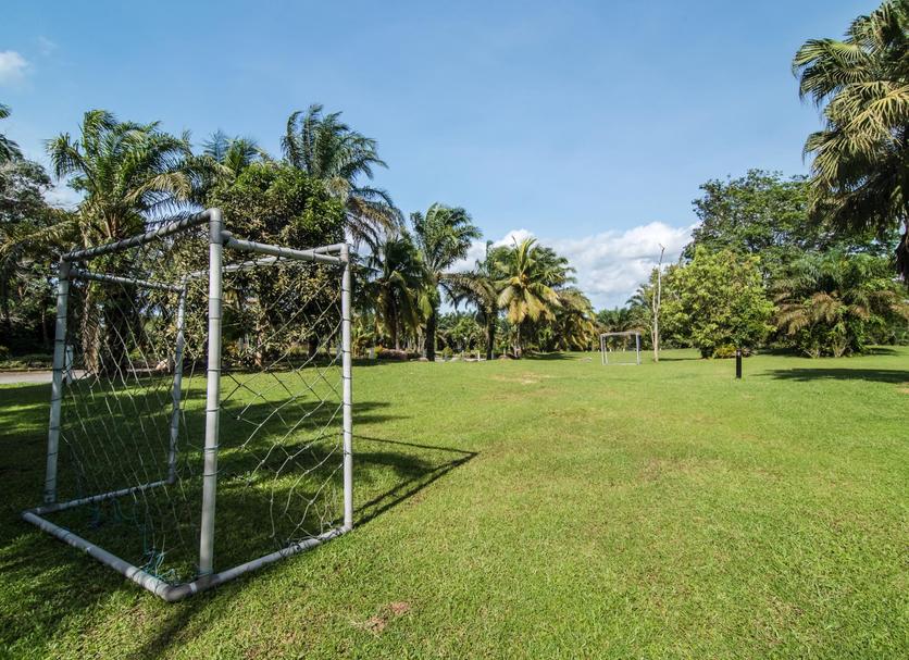 Vista del exterior Foto