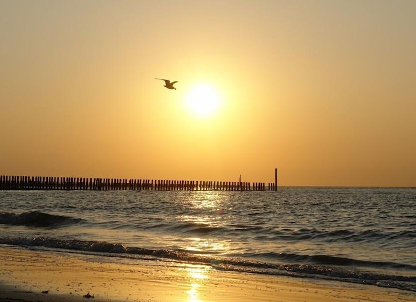 Playa Foto