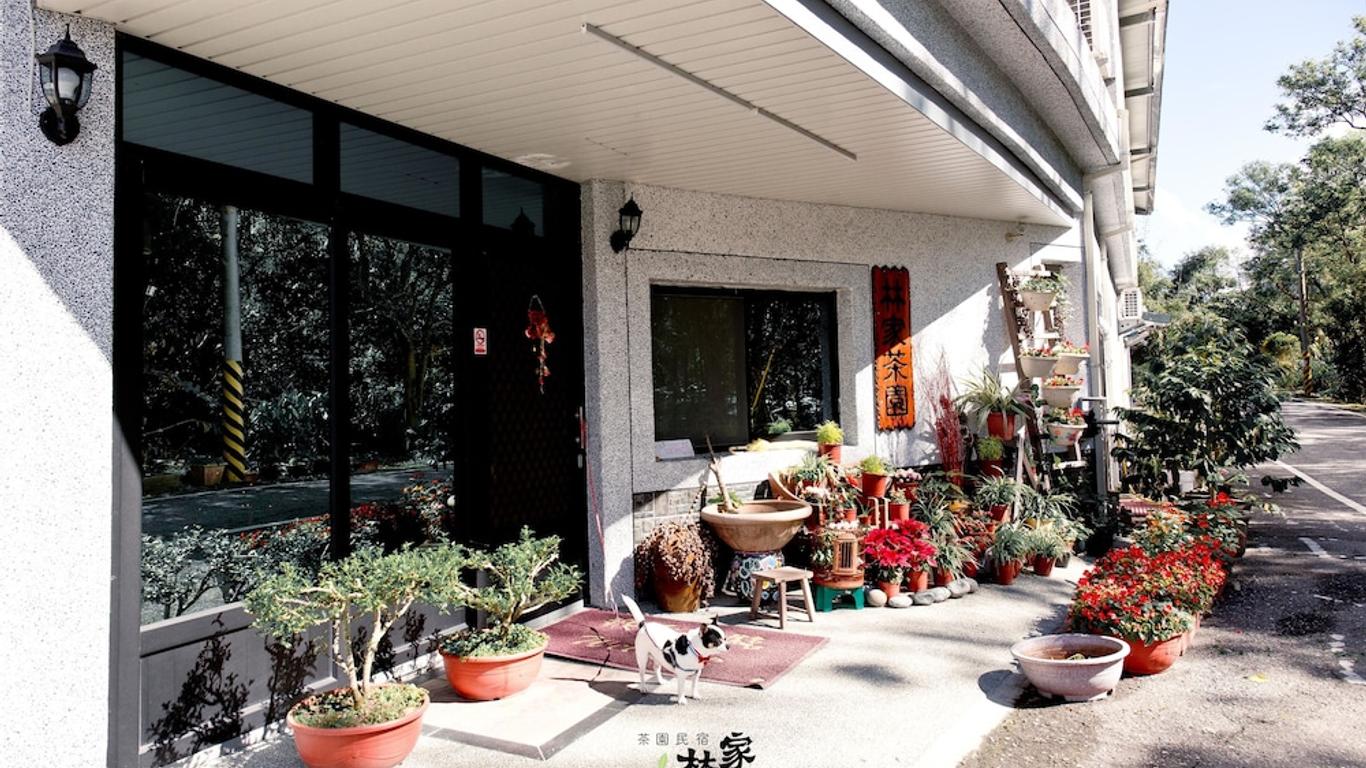 Lin Tea B&B