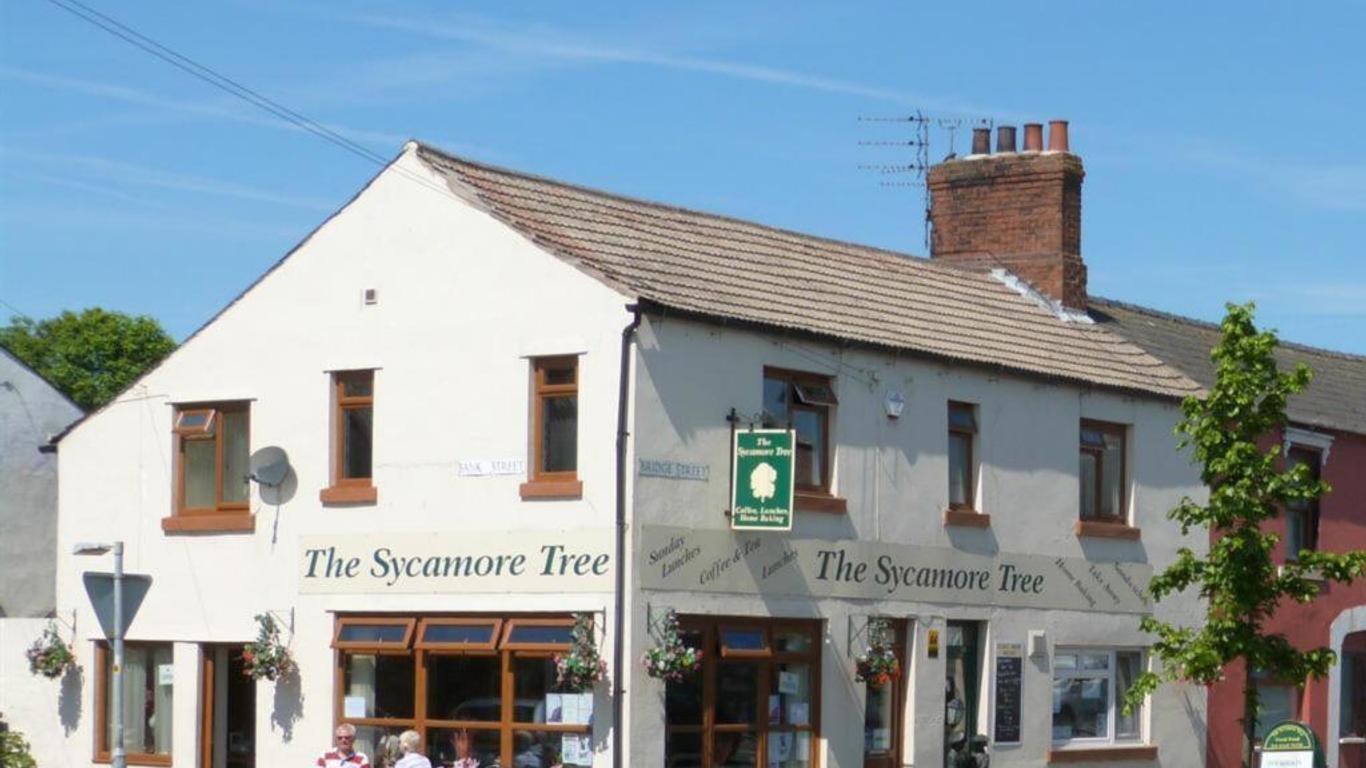 The Sycamore Tree