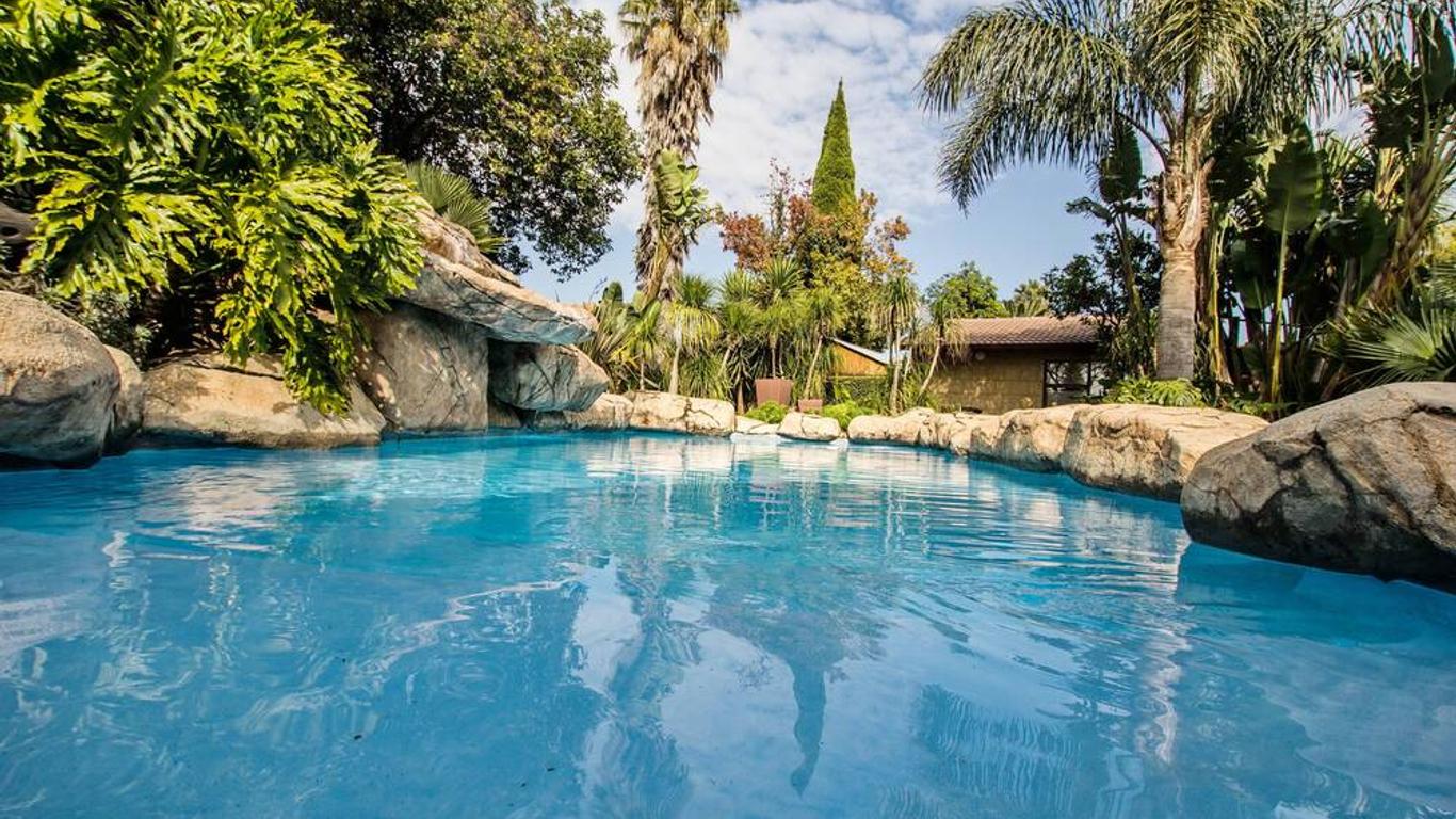 Summer Garden Guest House (The Palms)