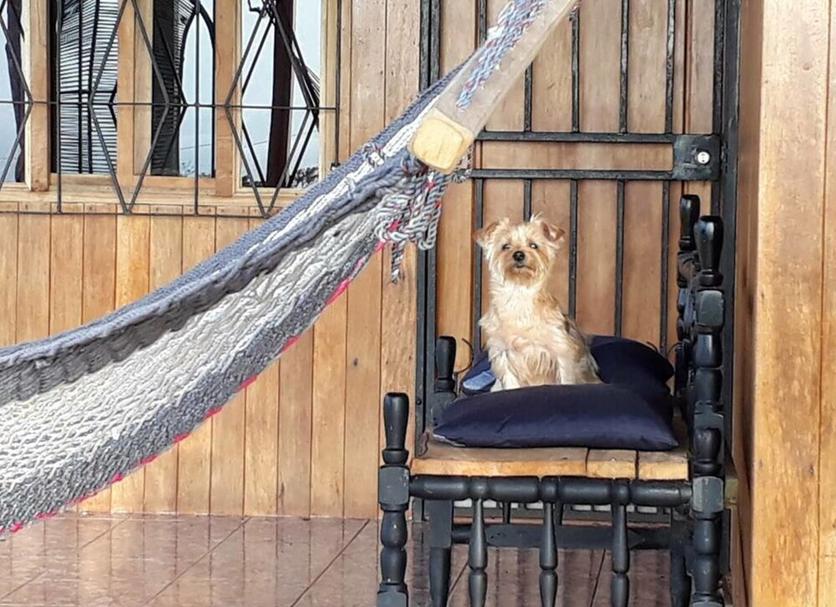 Otros Foto