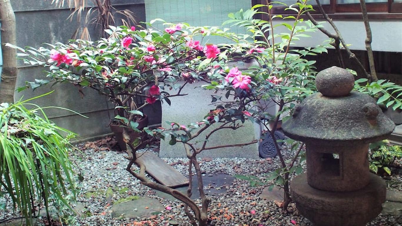 Deer Guesthouse - Hostel