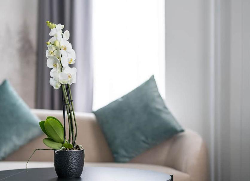 Servicio de la habitación Foto