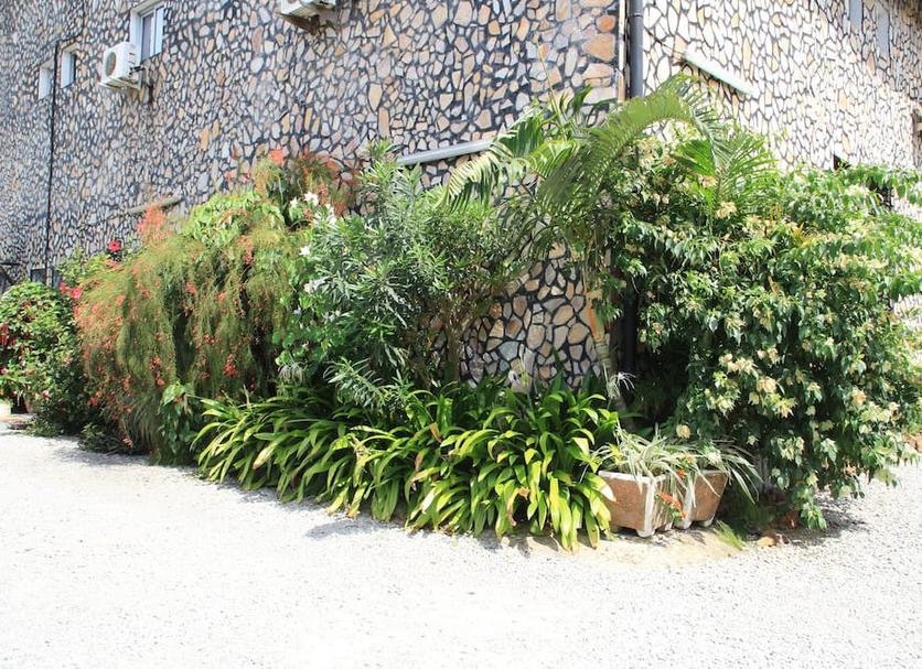 Vista del exterior Foto