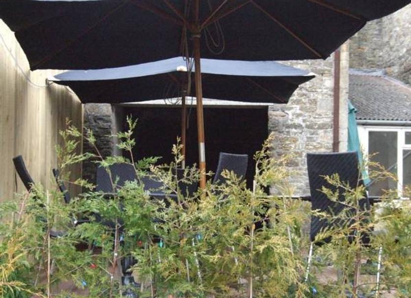 Patio Foto