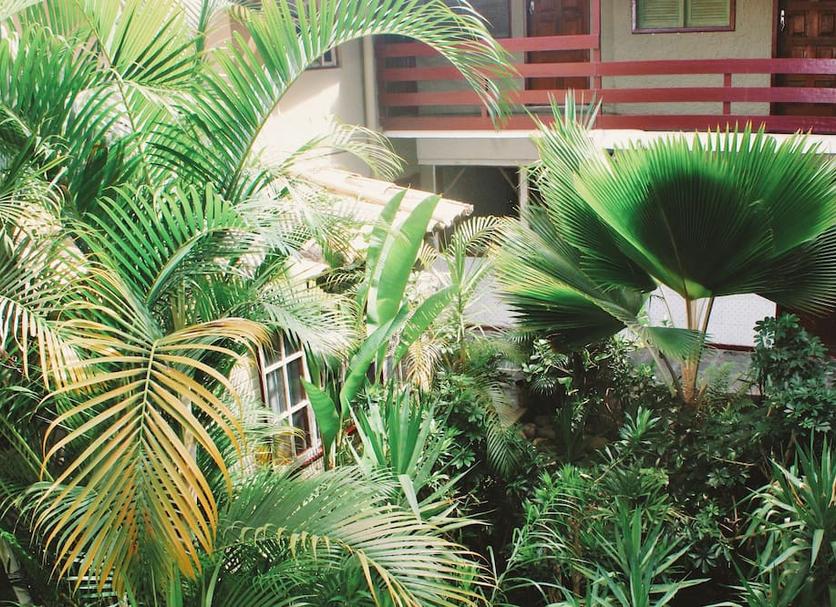 Vista del exterior Foto