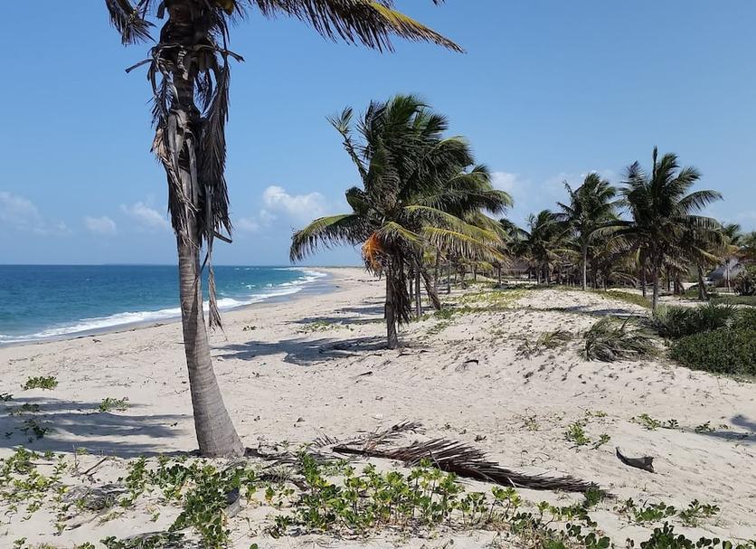 Playa Foto