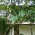Vista del exterior