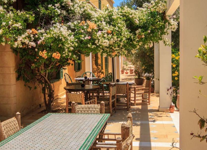 Patio Foto