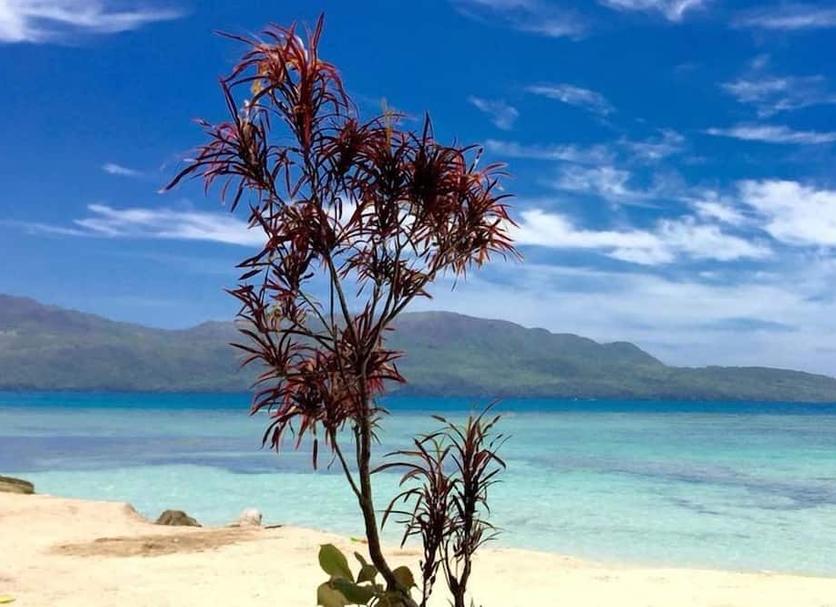 Playa Foto