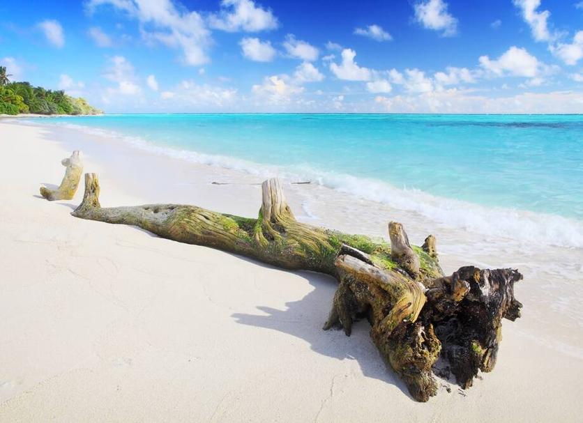 Playa Foto