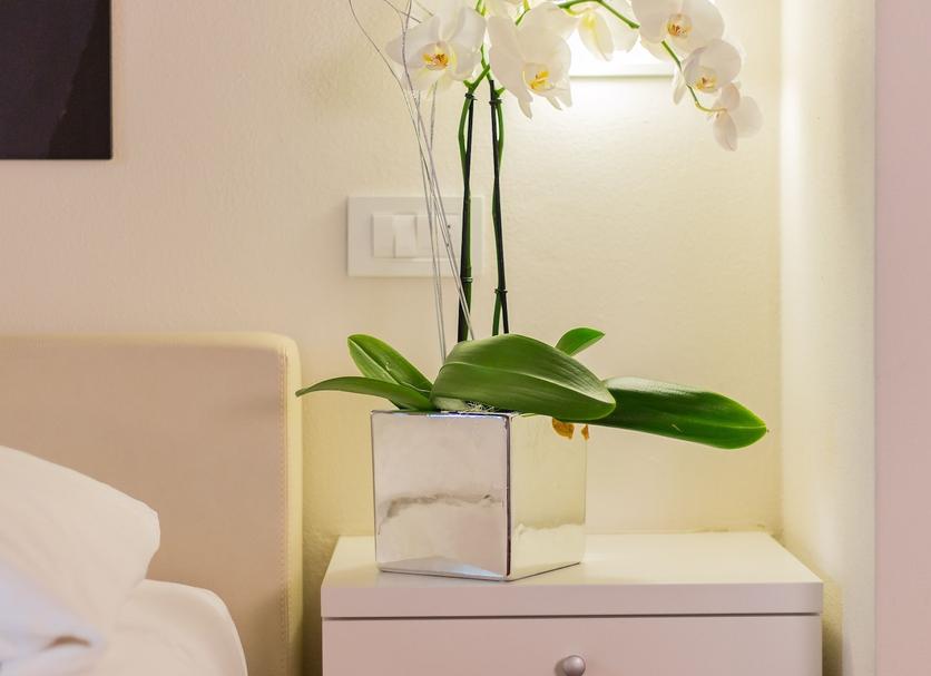 Servicio de la habitación Foto