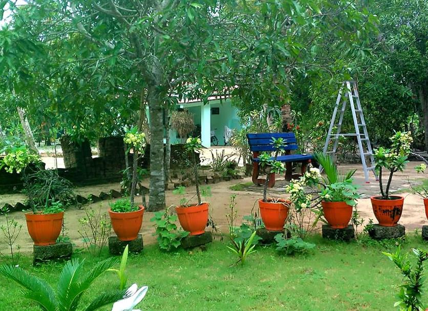 Patio Foto