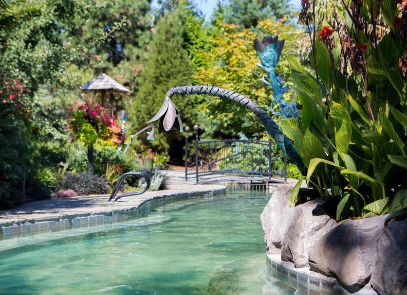 Piscina Foto