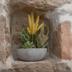 Servicio de la habitación