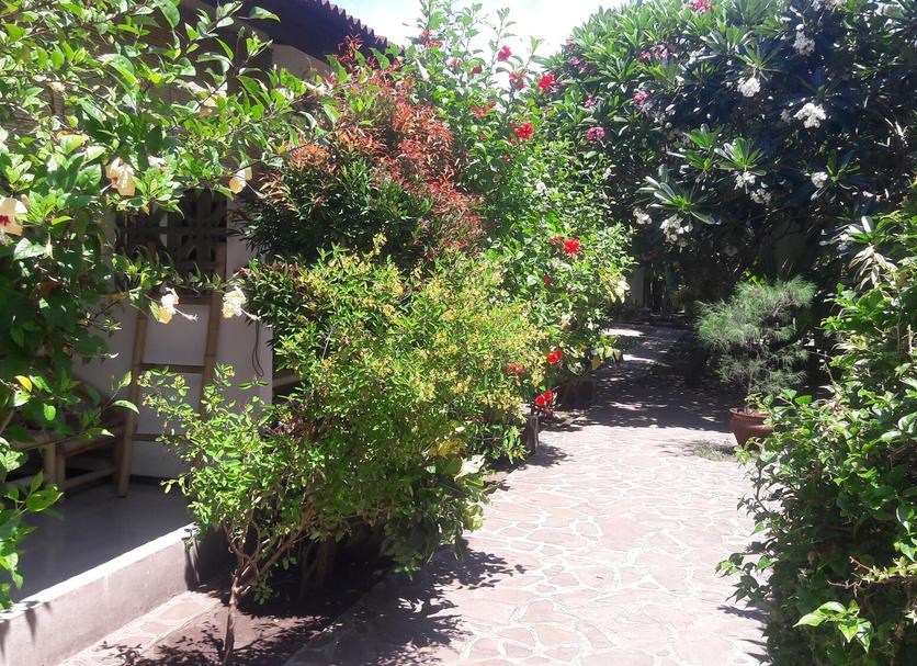 Vista del exterior Foto