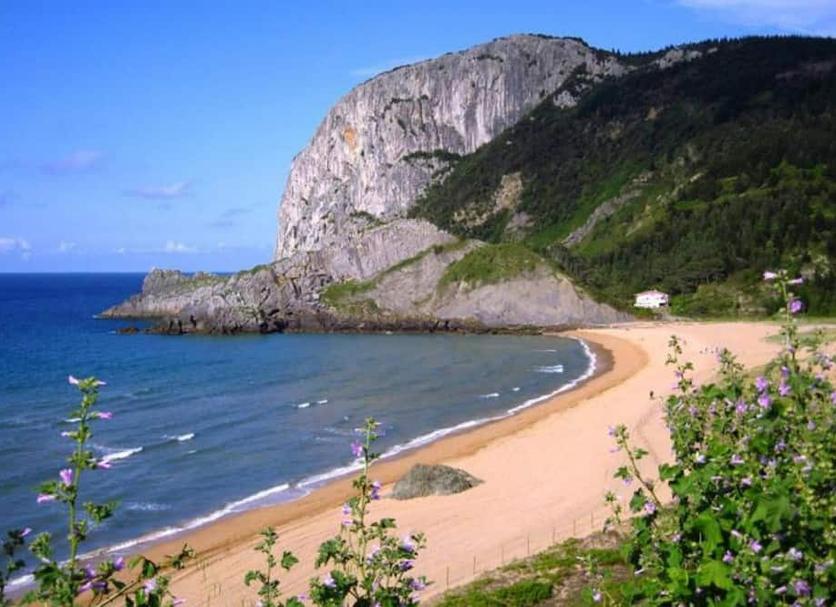 Playa Foto