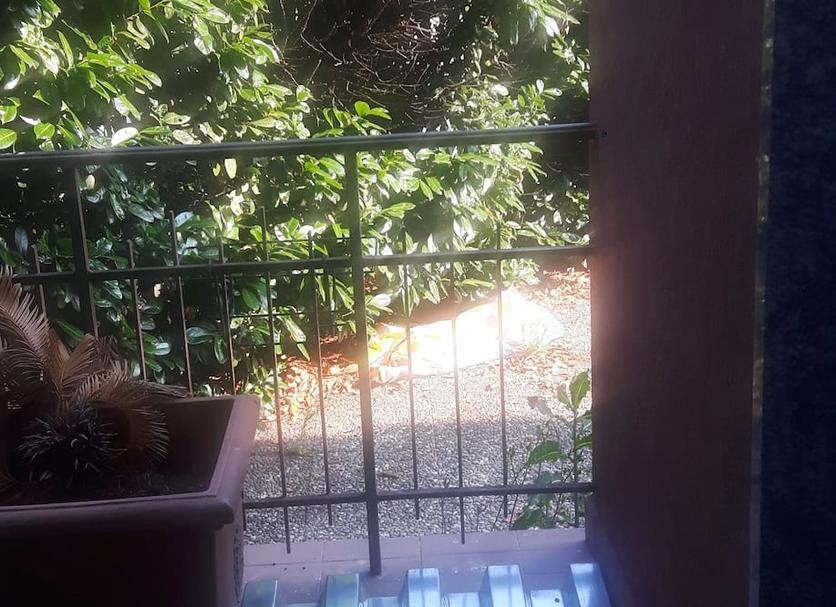 Balcón Foto