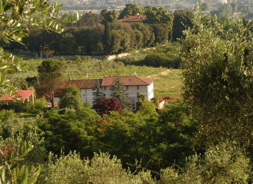 Vista del exterior Foto