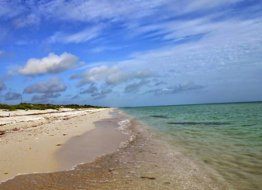 Playa Foto