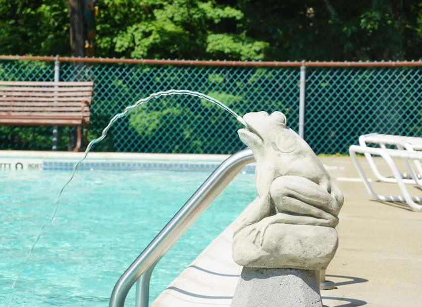 Piscina Foto