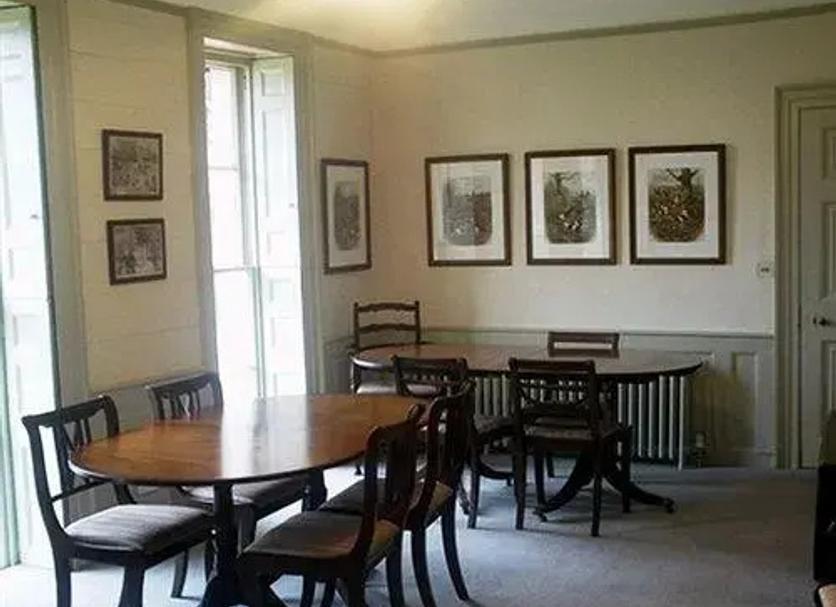 Comedor Foto