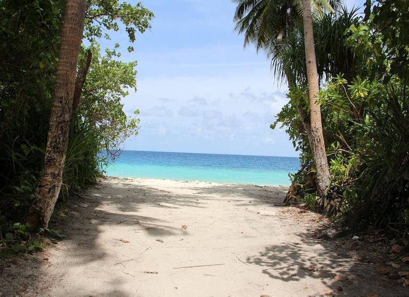 Playa Foto