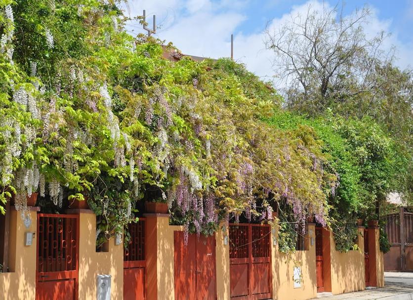 Vista del exterior Foto