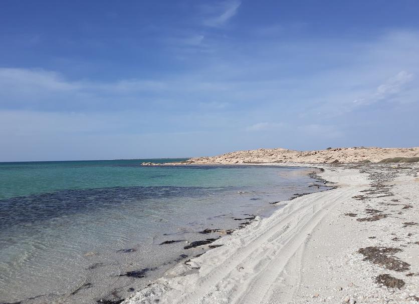 Playa Foto