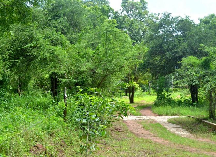 Vista del exterior Foto