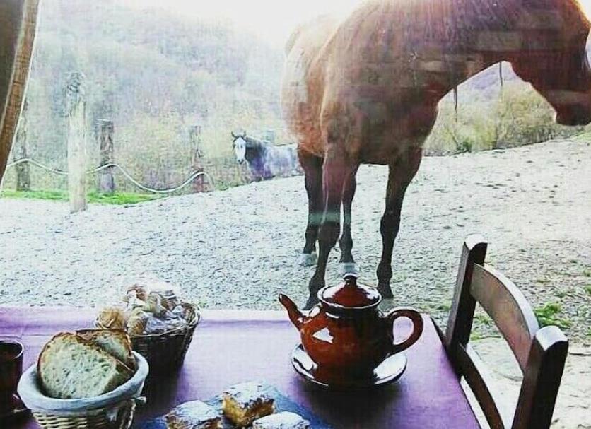 Otros Foto