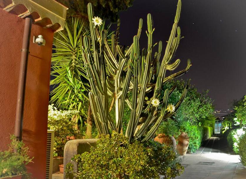 Vista del exterior Foto