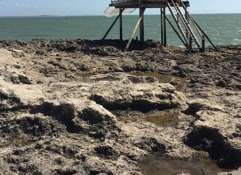 Playa Foto