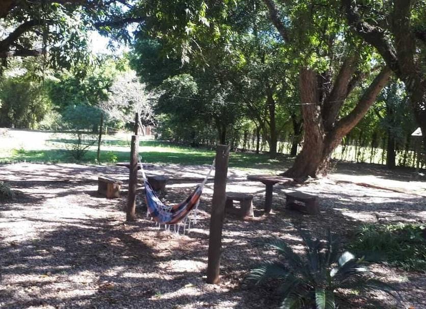 Otros Foto