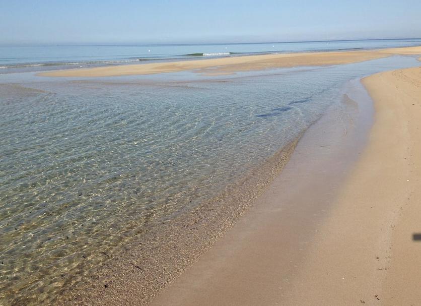 Playa Foto