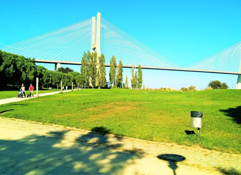 Otros Foto