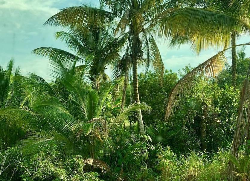 Vista del exterior Foto