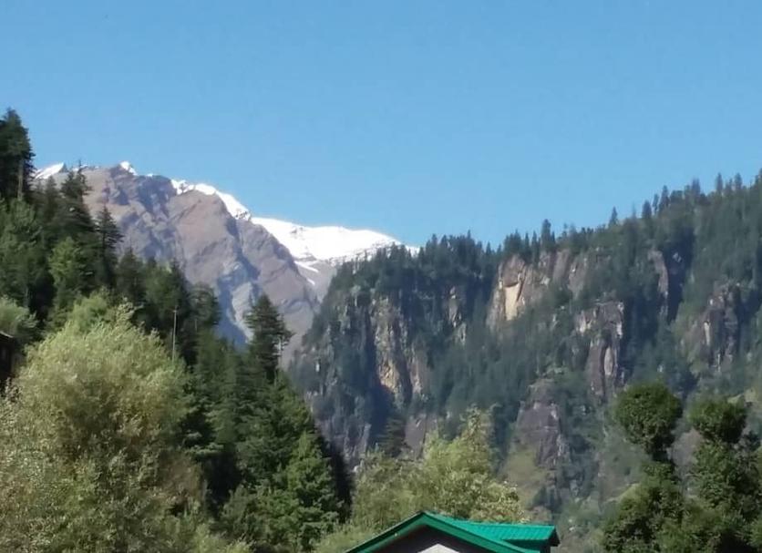 Otros Foto