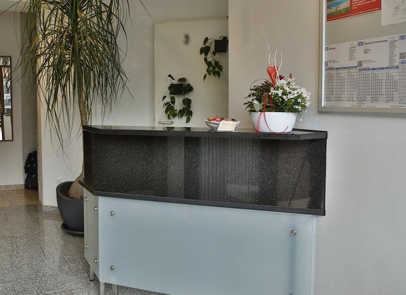 Recepción Foto