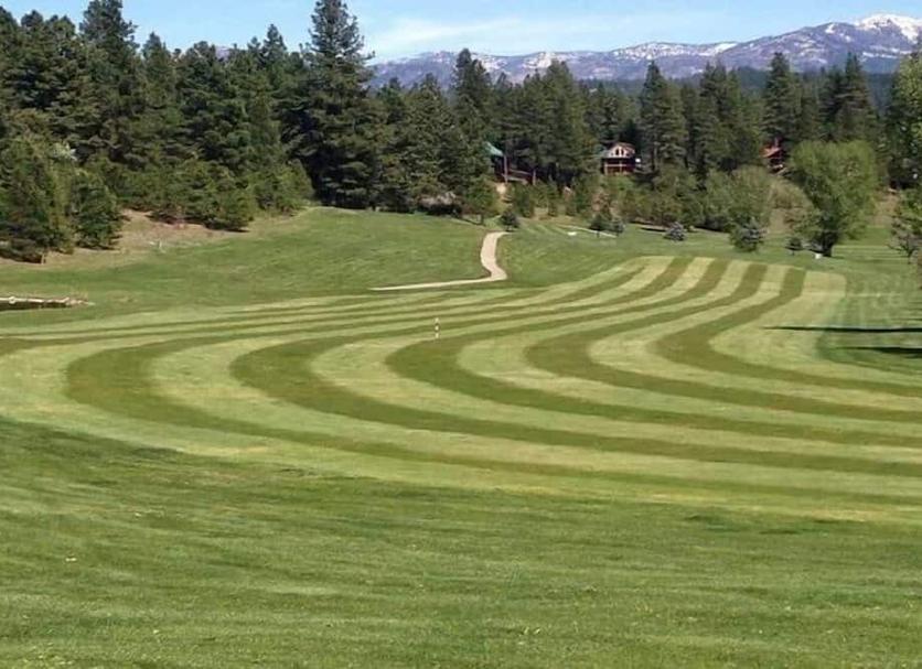 Campo de Golf Foto