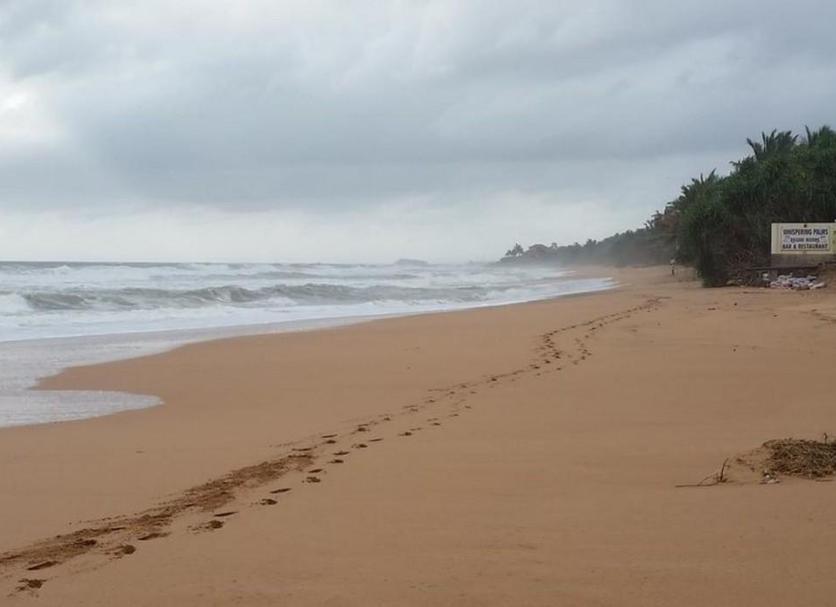 Playa Foto